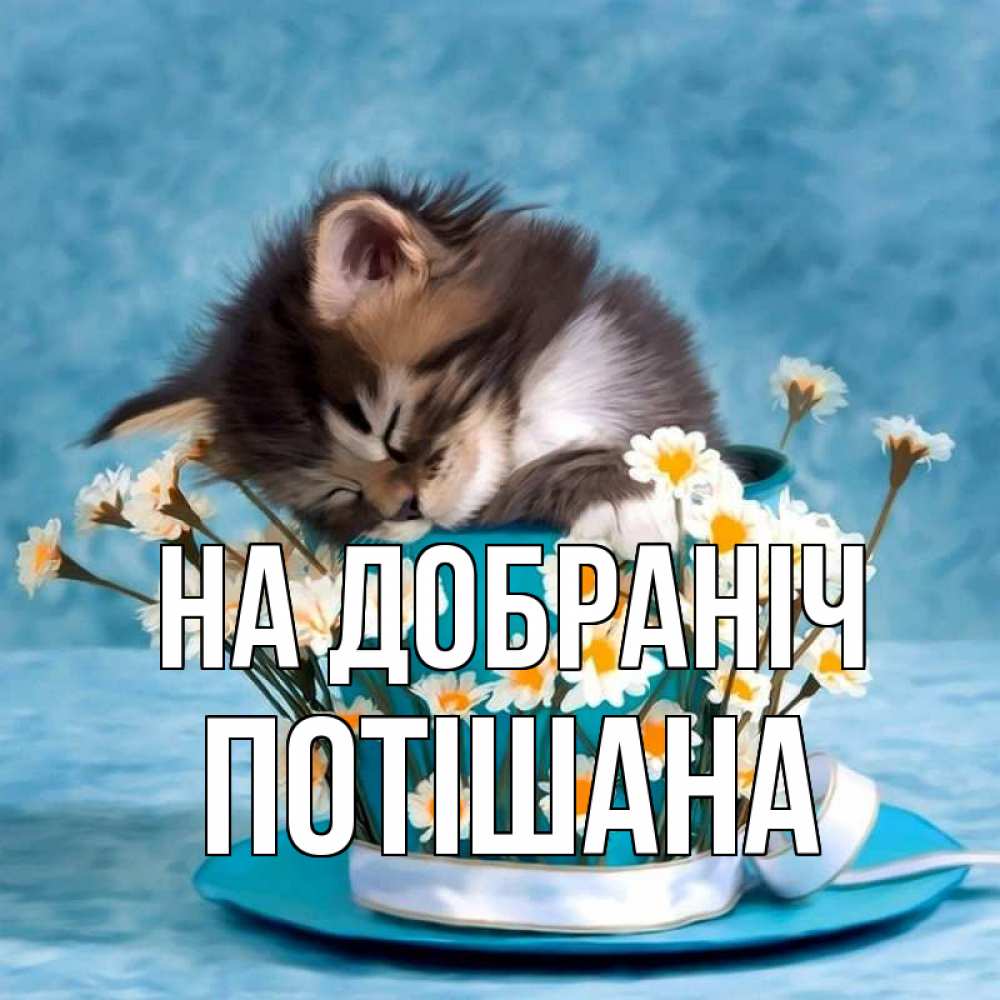 Открытка на каждый день з підписом, Потішана На добраніч котенок спит в кружке с блюдцем Прикольна листівка з побажанням онлайн скачати безкоштовно 