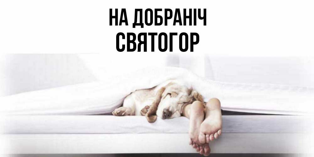 Открытка на каждый день з підписом, Святогор На добраніч кровать с собакой пожелание сладких снов и спокойной ночи Прикольна листівка з побажанням онлайн скачати безкоштовно 
