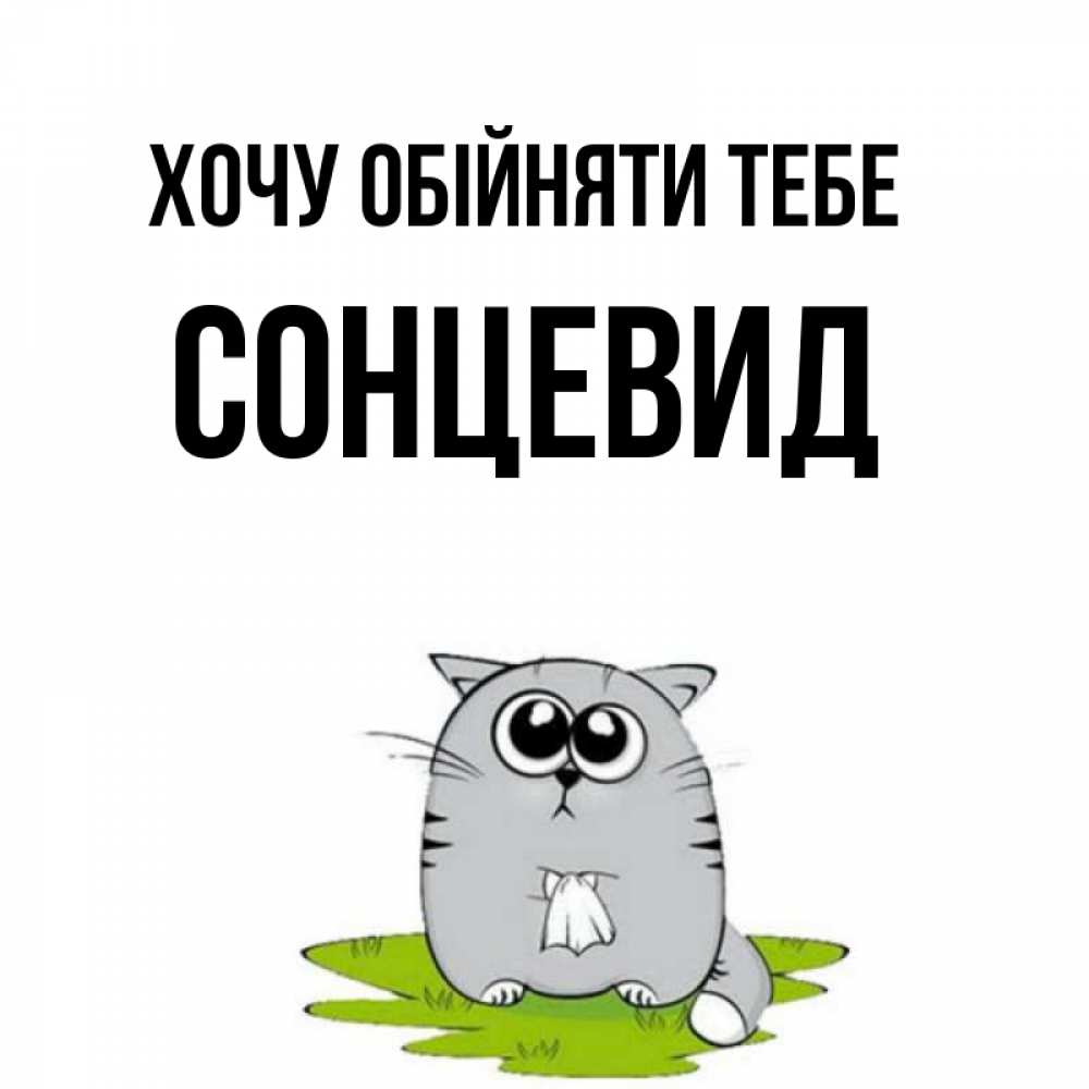Открытка на каждый день з підписом, Сонцевид Хочу обійняти тебе котик теребит платочек сидя на травке Прикольна листівка з побажанням онлайн скачати безкоштовно 