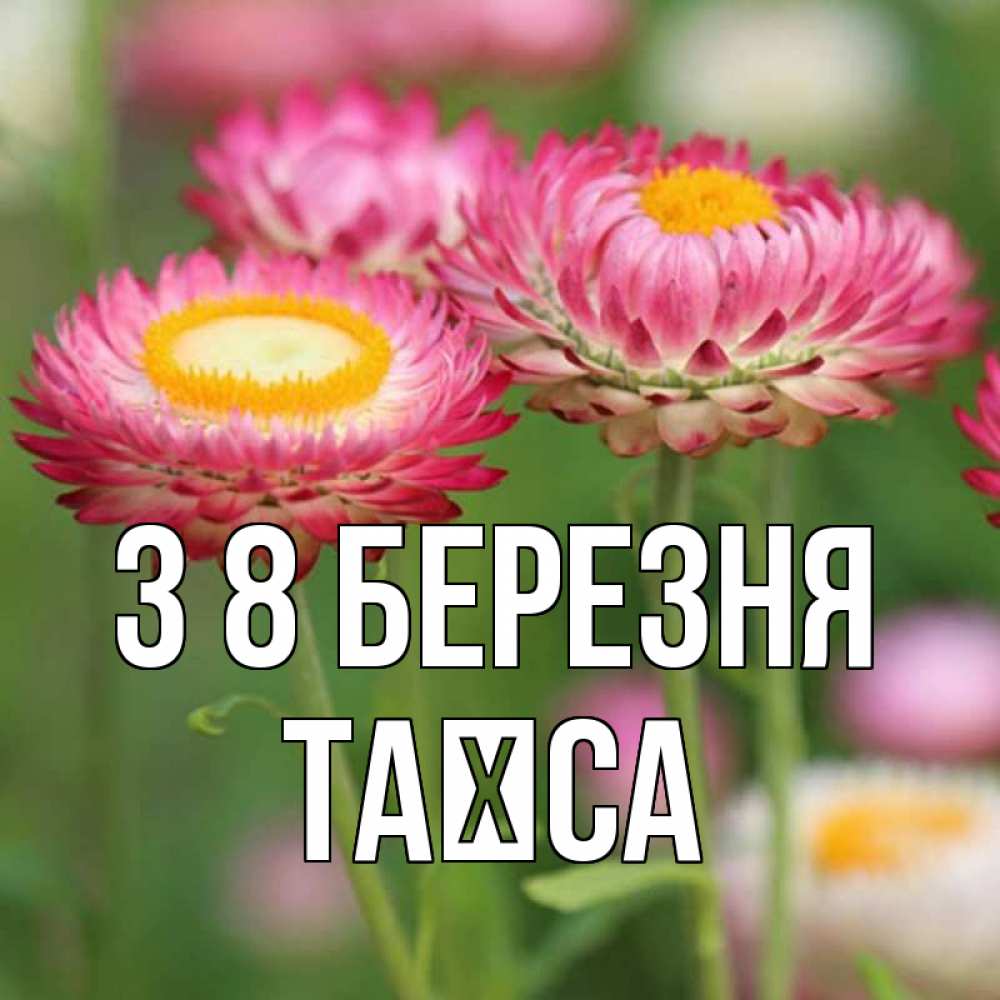 Открытка на каждый день з підписом, Таїса З 8 БЕРЕЗНЯ подарок на международный женский день Прикольна листівка з побажанням онлайн скачати безкоштовно 