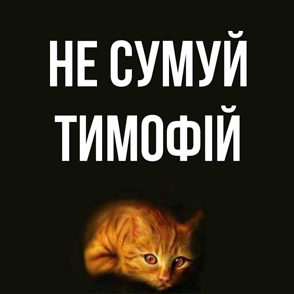 Открытка на каждый день з підписом, Тимофій Не сумуй лежащий кот в темноте Прикольна листівка з побажанням онлайн скачати безкоштовно 