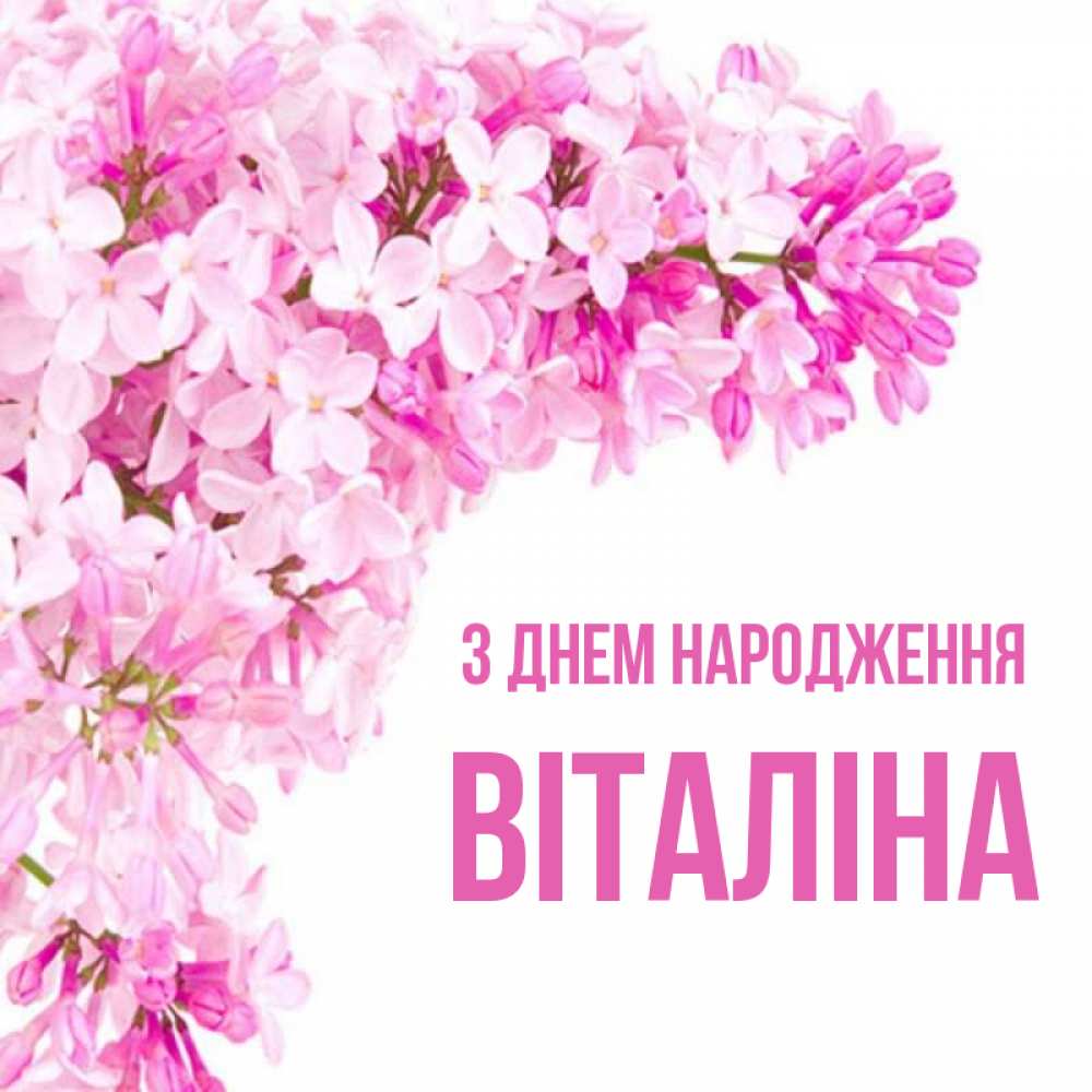 Открытка на каждый день з підписом, Віталіна З Днем народження Сирень на белом фоне Прикольна листівка з побажанням онлайн скачати безкоштовно 