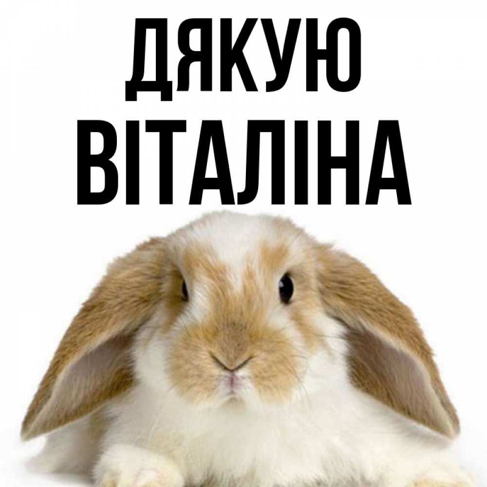 Открытка на каждый день з підписом, Віталіна Дякую коричнево белый заяц Прикольна листівка з побажанням онлайн скачати безкоштовно 