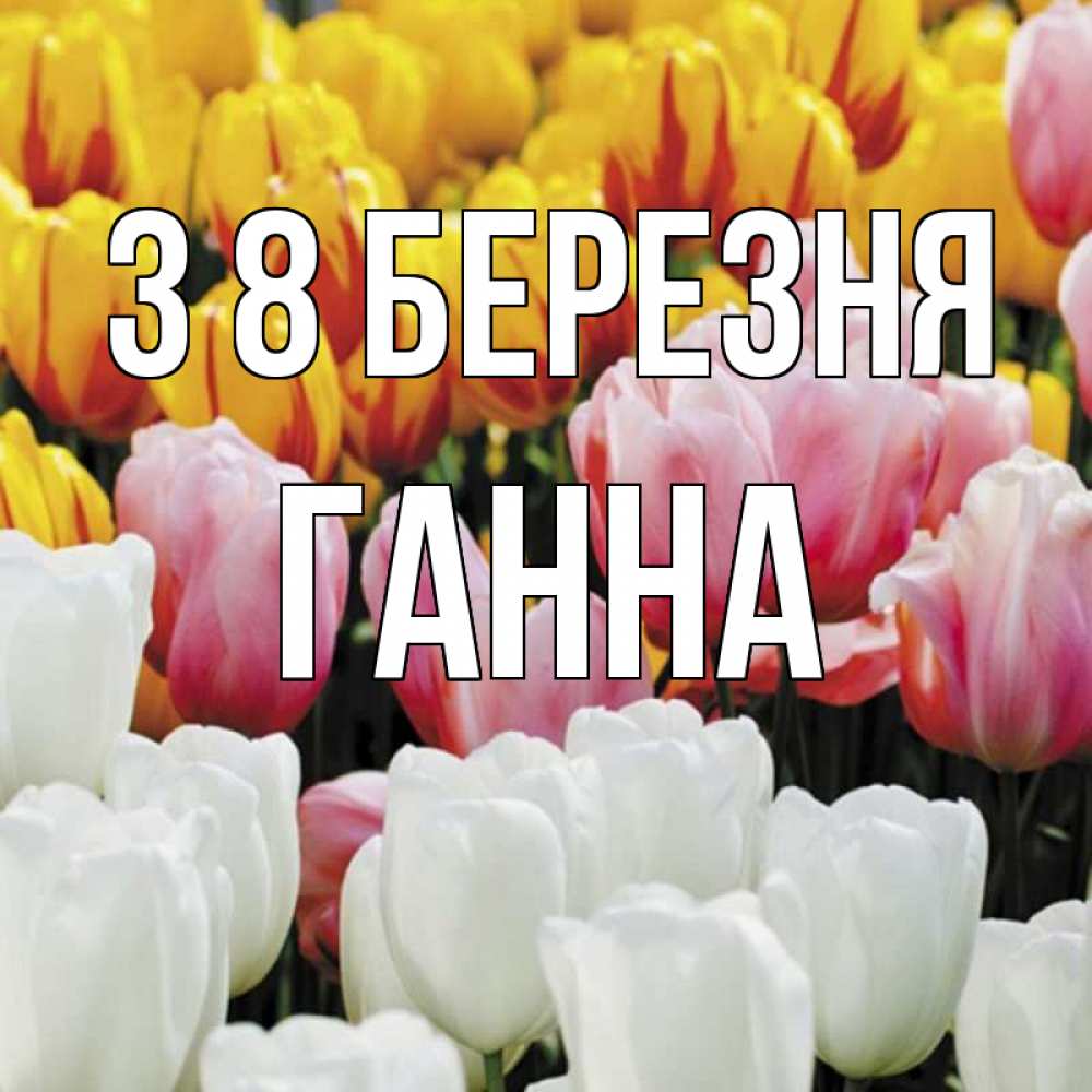Открытка на каждый день з підписом, Ганна З 8 БЕРЕЗНЯ разноцветные цветы Прикольна листівка з побажанням онлайн скачати безкоштовно 