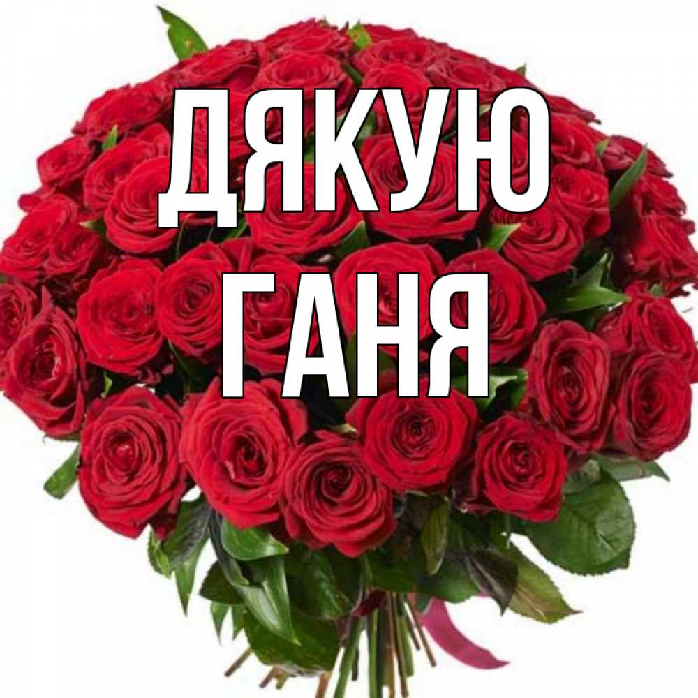 Открытка на каждый день з підписом, Ганя Дякую букет красных роз Прикольна листівка з побажанням онлайн скачати безкоштовно 