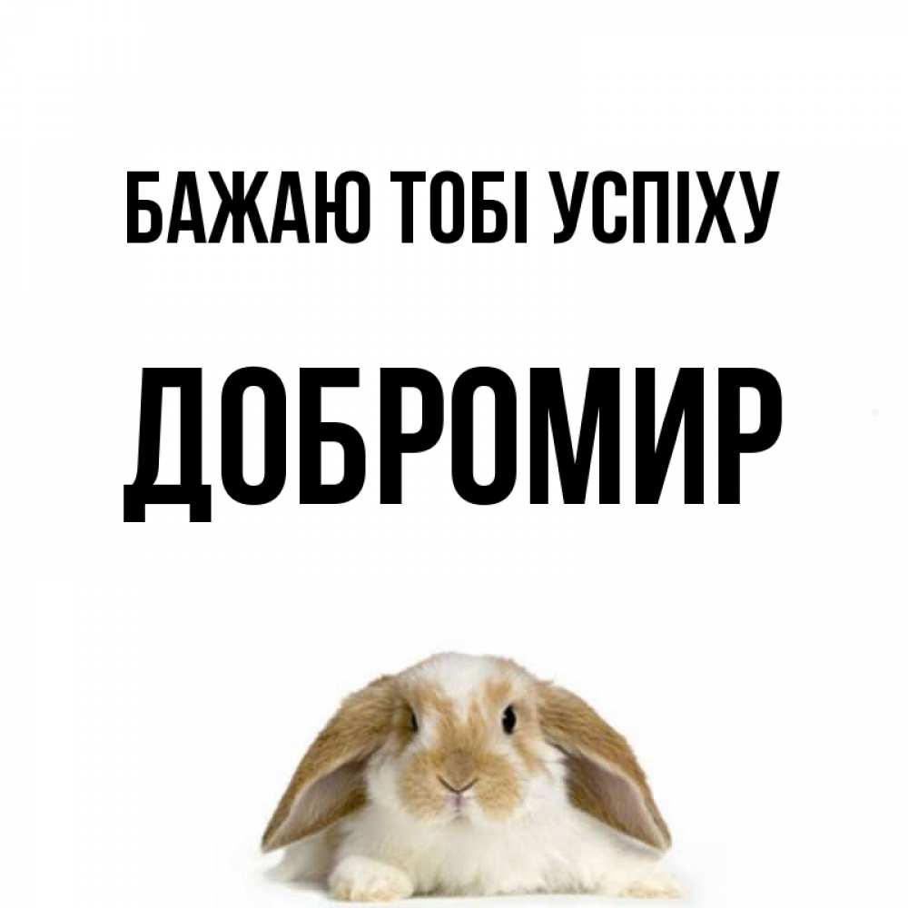 Открытка на каждый день з підписом, Добромир Бажаю тобі успіху открытки с произвольным текстом который можно вставить в открытку и создать ее самостоятельно бесплатно онлайн Прикольна листівка з побажанням онлайн скачати безкоштовно 