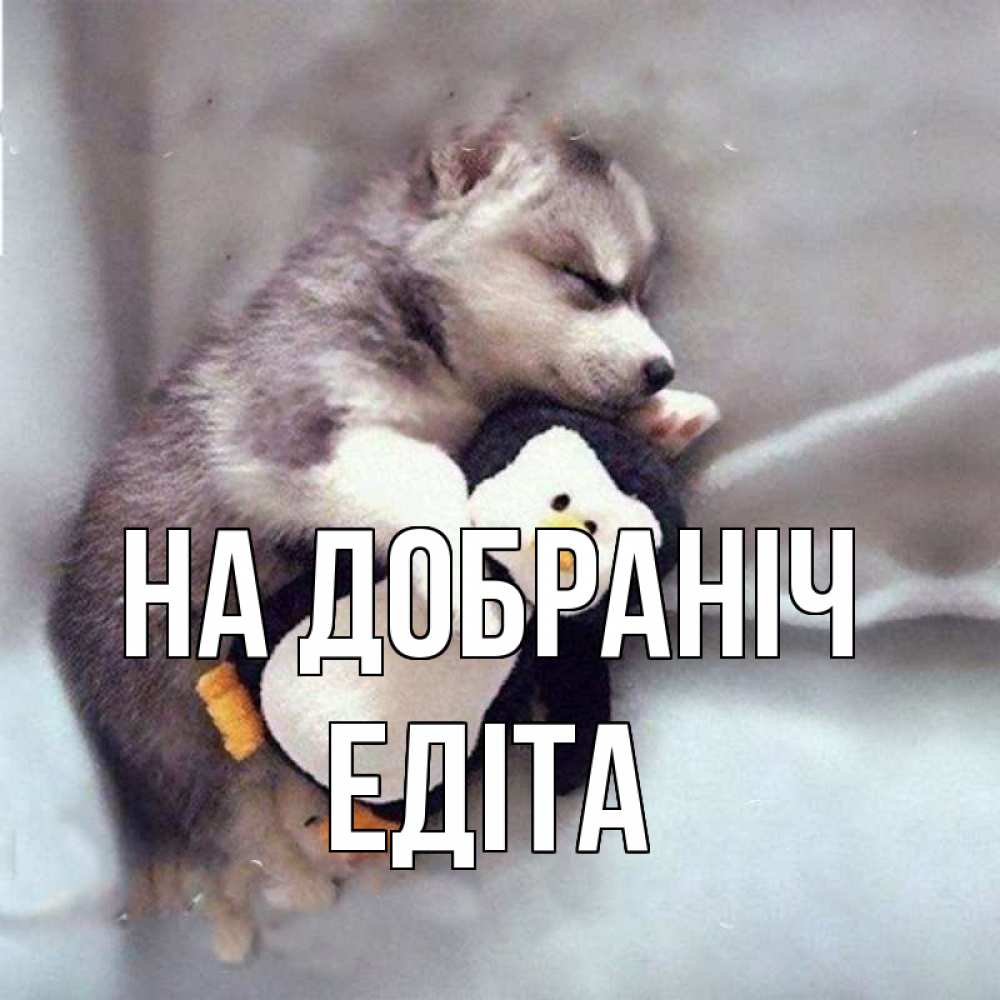 Открытка на каждый день з підписом, Едіта На добраніч обнимашки щенка и пингвина Прикольна листівка з побажанням онлайн скачати безкоштовно 