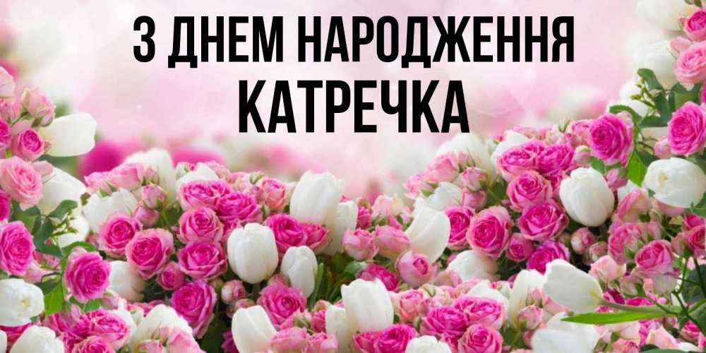Открытка на каждый день з підписом, Катречка З Днем народження открытка с разными розами Прикольна листівка з побажанням онлайн скачати безкоштовно 