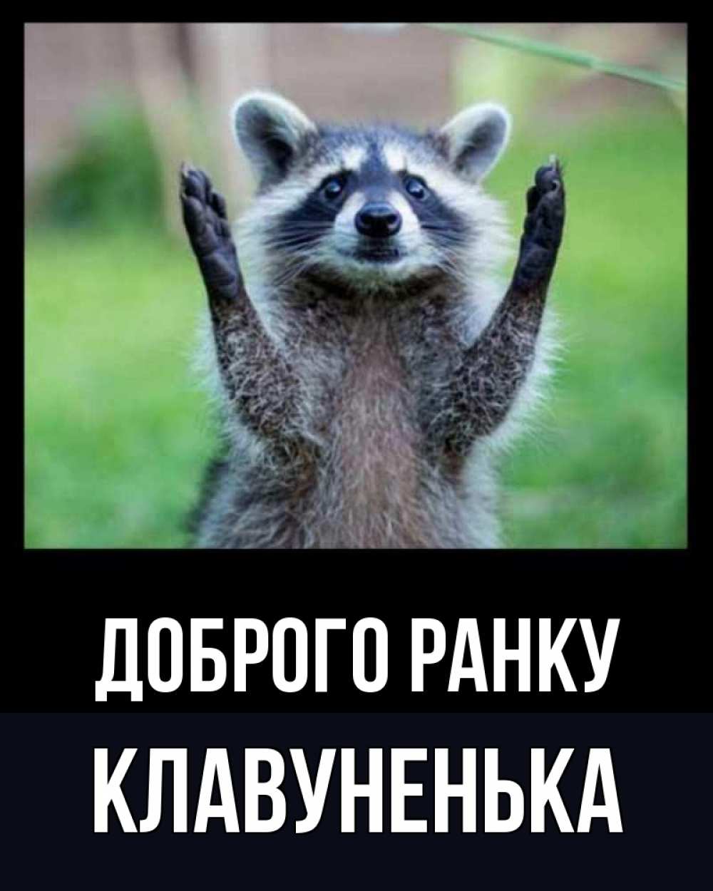 Открытка на каждый день з підписом, Клавуненька Доброго ранку хорошее настроение утречком Прикольна листівка з побажанням онлайн скачати безкоштовно 