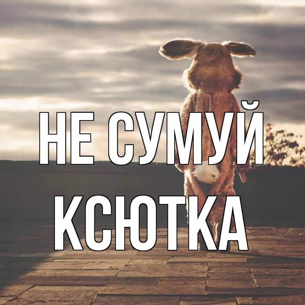 Открытка на каждый день з підписом, Ксютка Не сумуй со спины Прикольна листівка з побажанням онлайн скачати безкоштовно 
