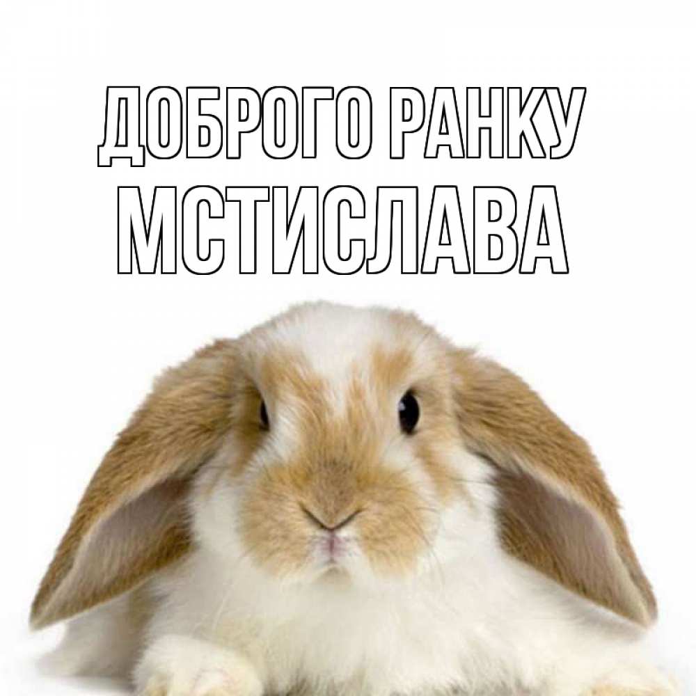 Открытка на каждый день з підписом, Мстислава Доброго ранку прикольные открытки на каждый день Прикольна листівка з побажанням онлайн скачати безкоштовно 