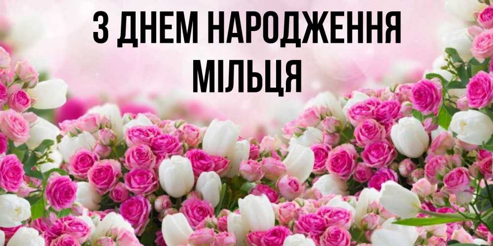 Открытка на каждый день з підписом, Мільця З Днем народження открытка с разными розами Прикольна листівка з побажанням онлайн скачати безкоштовно 