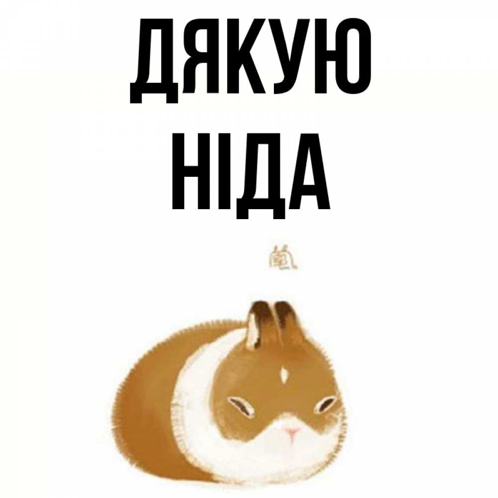 Открытка на каждый день з підписом, Ніда Дякую коричнево белый домашний питомец Прикольна листівка з побажанням онлайн скачати безкоштовно 