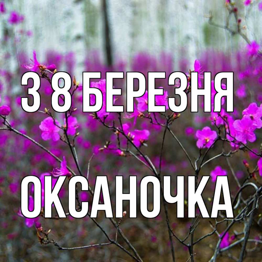 Открытка на каждый день з підписом, Оксаночка З 8 БЕРЕЗНЯ дикие цветы Прикольна листівка з побажанням онлайн скачати безкоштовно 