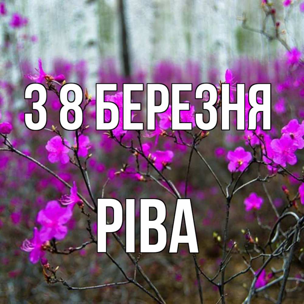 Открытка на каждый день з підписом, Ріва З 8 БЕРЕЗНЯ дикие цветы Прикольна листівка з побажанням онлайн скачати безкоштовно 