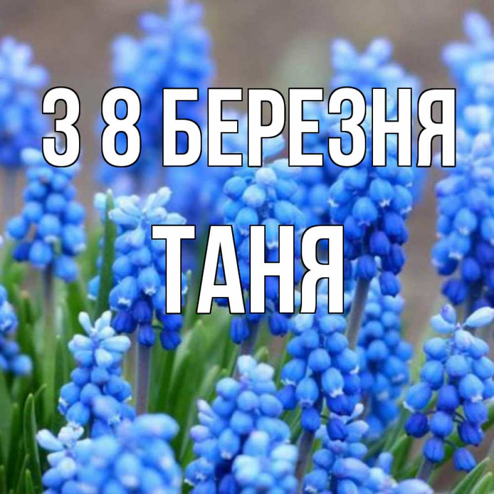 Открытка на каждый день з підписом, Таня З 8 БЕРЕЗНЯ Поздравительная открытка для женщин с цветами на праздничную дату Прикольна листівка з побажанням онлайн скачати безкоштовно 
