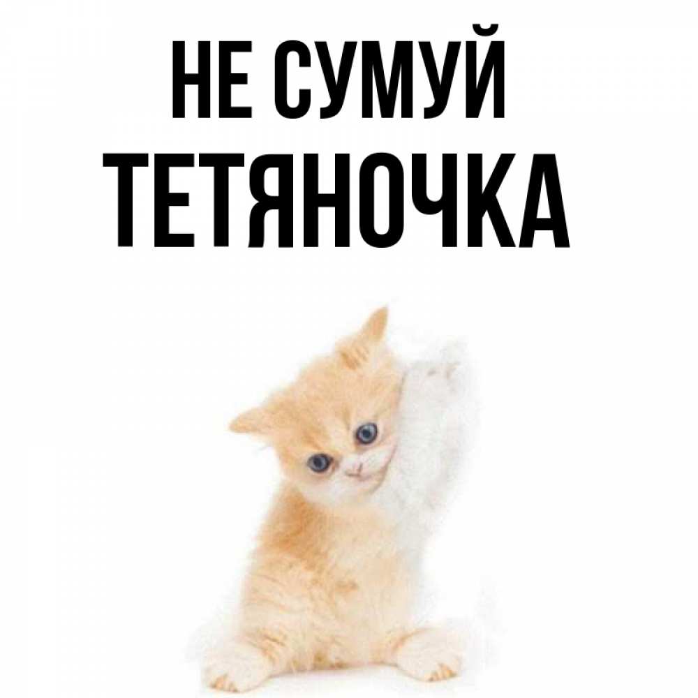 Открытка на каждый день з підписом, Тетяночка Не сумуй просящий кот Прикольна листівка з побажанням онлайн скачати безкоштовно 