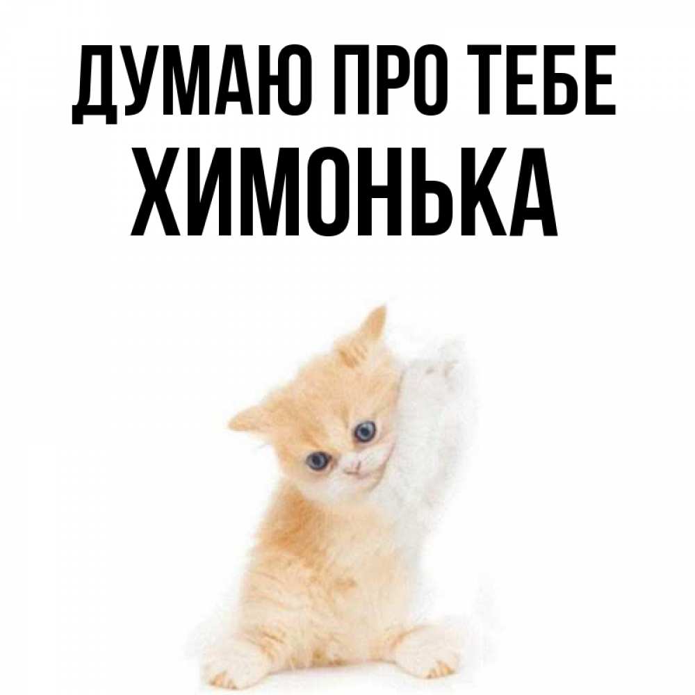 Открытка на каждый день з підписом, Химонька Думаю про тебе зверушки и милота Прикольна листівка з побажанням онлайн скачати безкоштовно 
