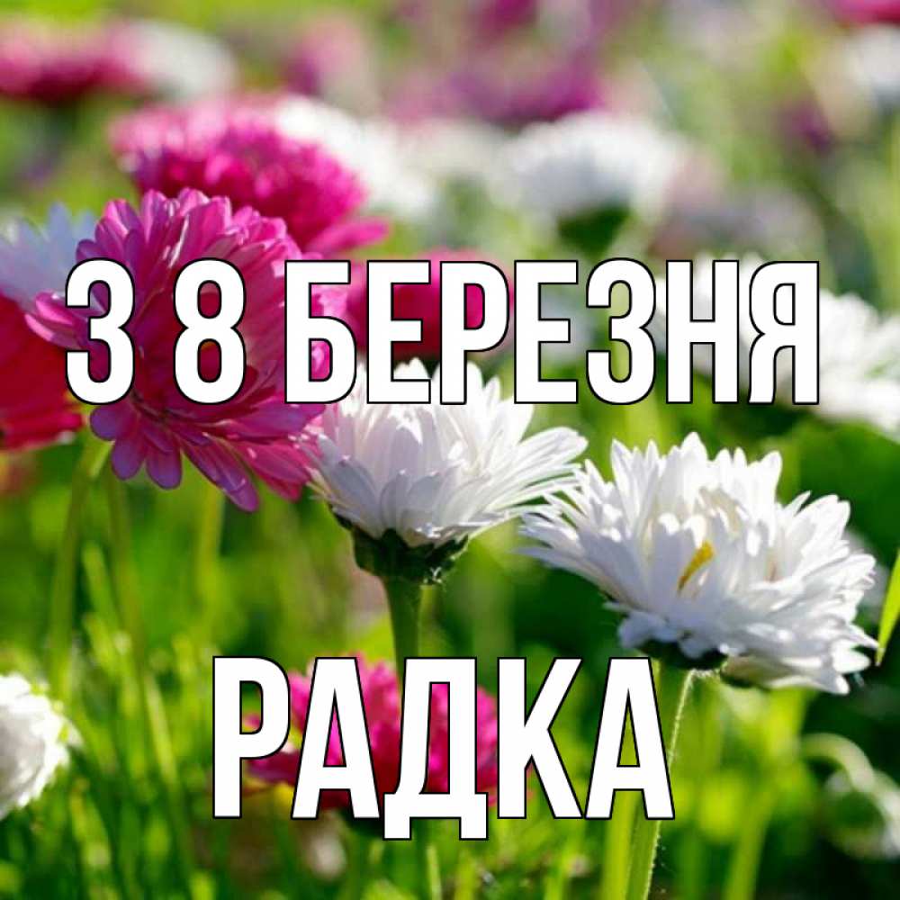 Открытка на каждый день з підписом, Радка З 8 БЕРЕЗНЯ международный женский день 1 Прикольна листівка з побажанням онлайн скачати безкоштовно 