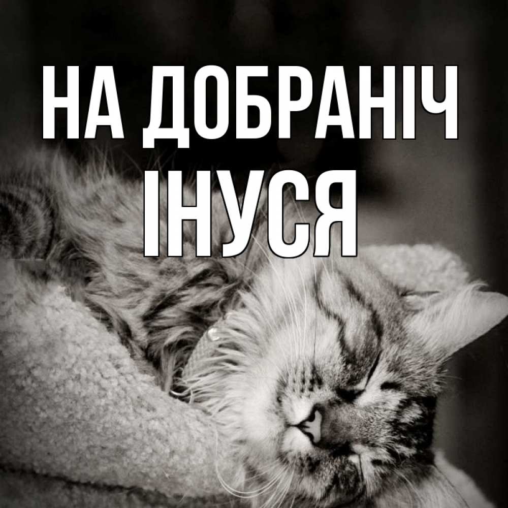 Открытка на каждый день з підписом, Інуся На добраніч котярик пушистый Прикольна листівка з побажанням онлайн скачати безкоштовно 