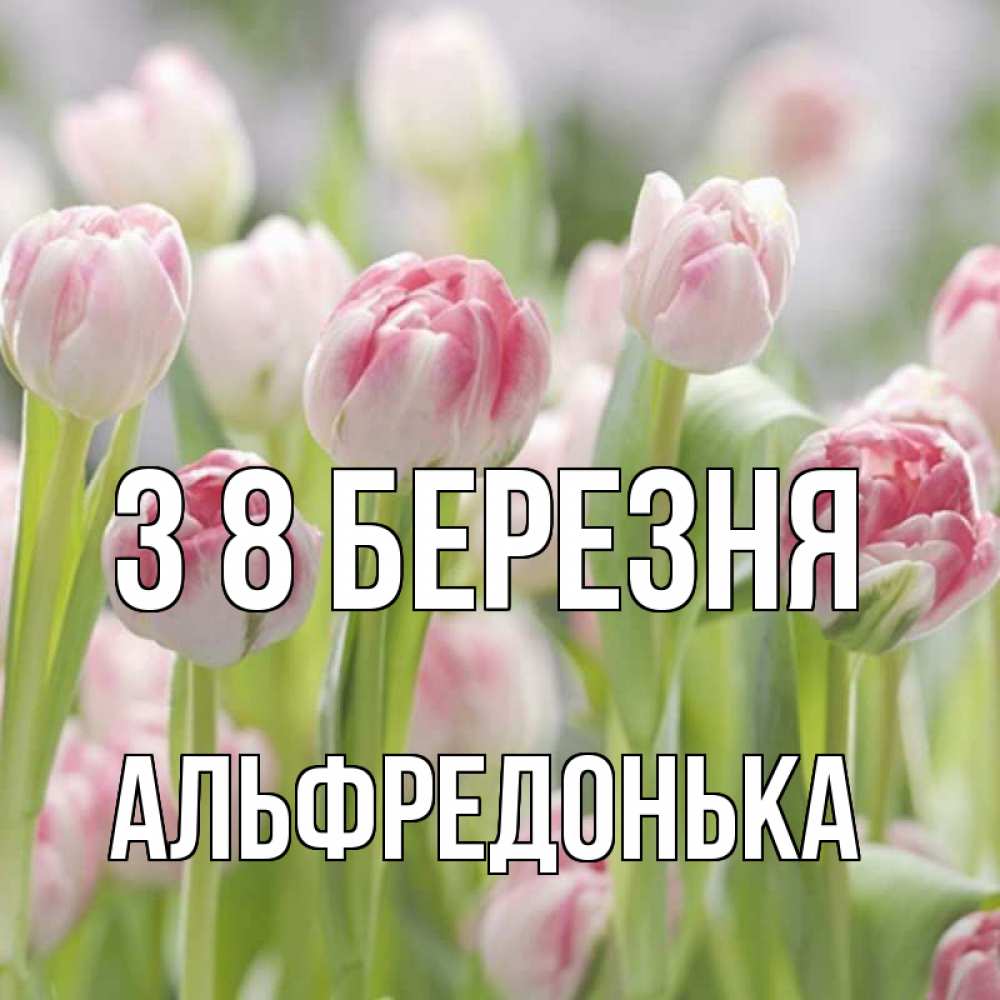 Открытка на каждый день з підписом, Альфредонька З 8 БЕРЕЗНЯ цветы Прикольна листівка з побажанням онлайн скачати безкоштовно 