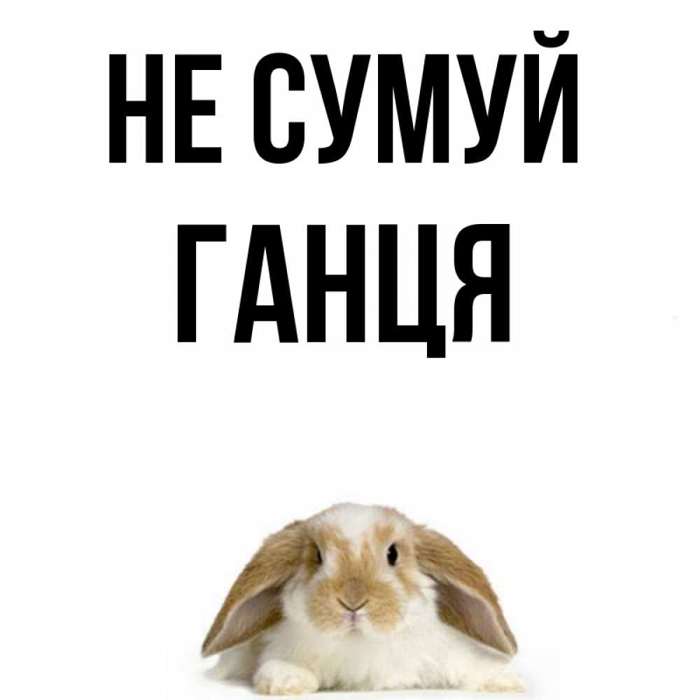 Открытка на каждый день з підписом, Ганця Не сумуй коричнево белый заяц с большими ушками Прикольна листівка з побажанням онлайн скачати безкоштовно 