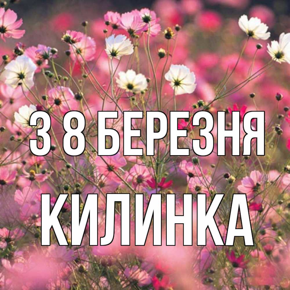 Открытка на каждый день з підписом, Килинка З 8 БЕРЕЗНЯ красиво 1 Прикольна листівка з побажанням онлайн скачати безкоштовно 