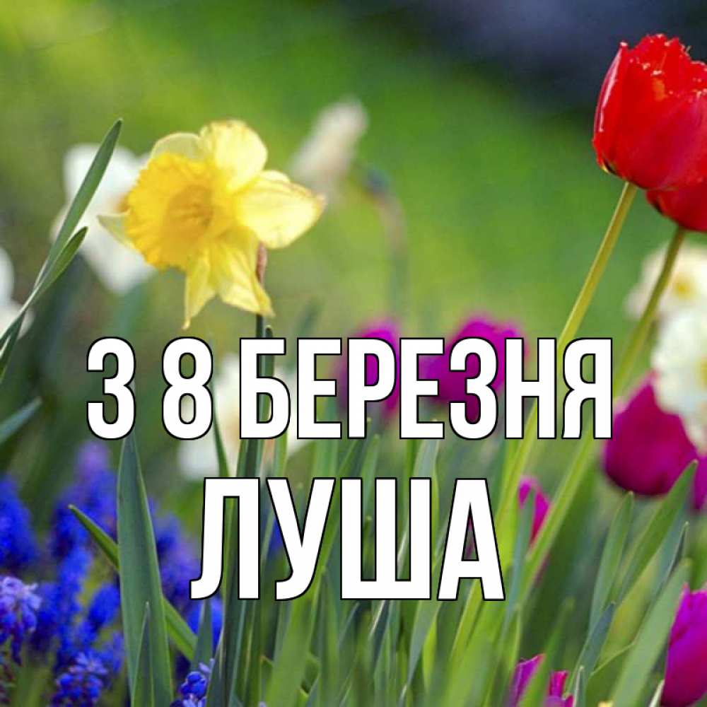 Открытка на каждый день з підписом, Луша З 8 БЕРЕЗНЯ международный женский день 3 Прикольна листівка з побажанням онлайн скачати безкоштовно 