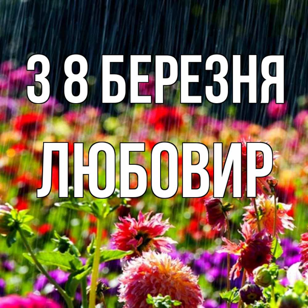Открытка на каждый день з підписом, Любовир З 8 БЕРЕЗНЯ цветы под дождиком к международному женскому дню Прикольна листівка з побажанням онлайн скачати безкоштовно 