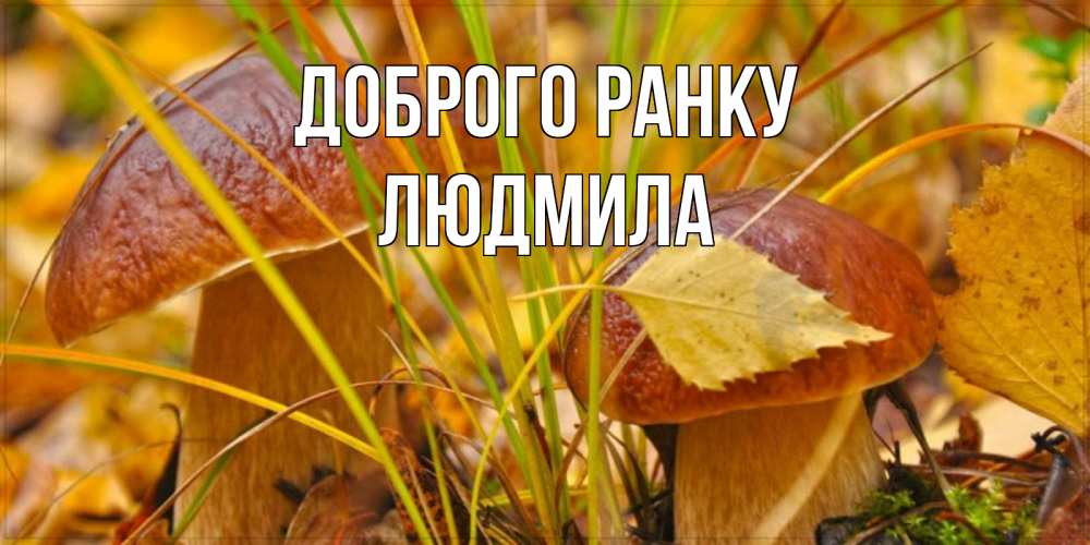 Открытка на каждый день з підписом, Людмила Доброго ранку осенние грибы Прикольна листівка з побажанням онлайн скачати безкоштовно 