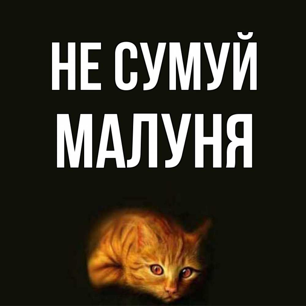 Открытка на каждый день з підписом, Малуня Не сумуй лежащий кот в темноте Прикольна листівка з побажанням онлайн скачати безкоштовно 