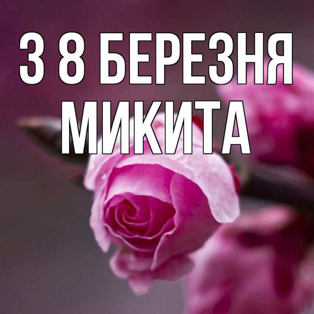 Открытка на каждый день з підписом, Микита З 8 БЕРЕЗНЯ весна Прикольна листівка з побажанням онлайн скачати безкоштовно 