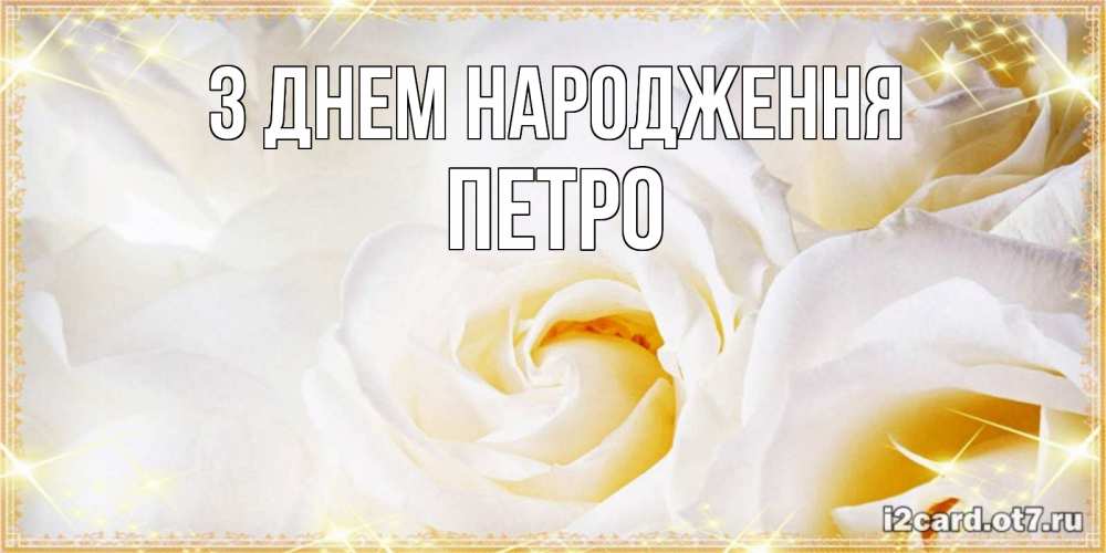 Открытка на каждый день з підписом, Петро З Днем народження красивые розы и капли росы на этих чудесных цветах Прикольна листівка з побажанням онлайн скачати безкоштовно 