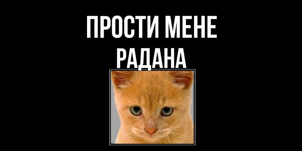 Открытка на каждый день з підписом, Радана Прости мене рыжий грустный кот просит прощения Прикольна листівка з побажанням онлайн скачати безкоштовно 