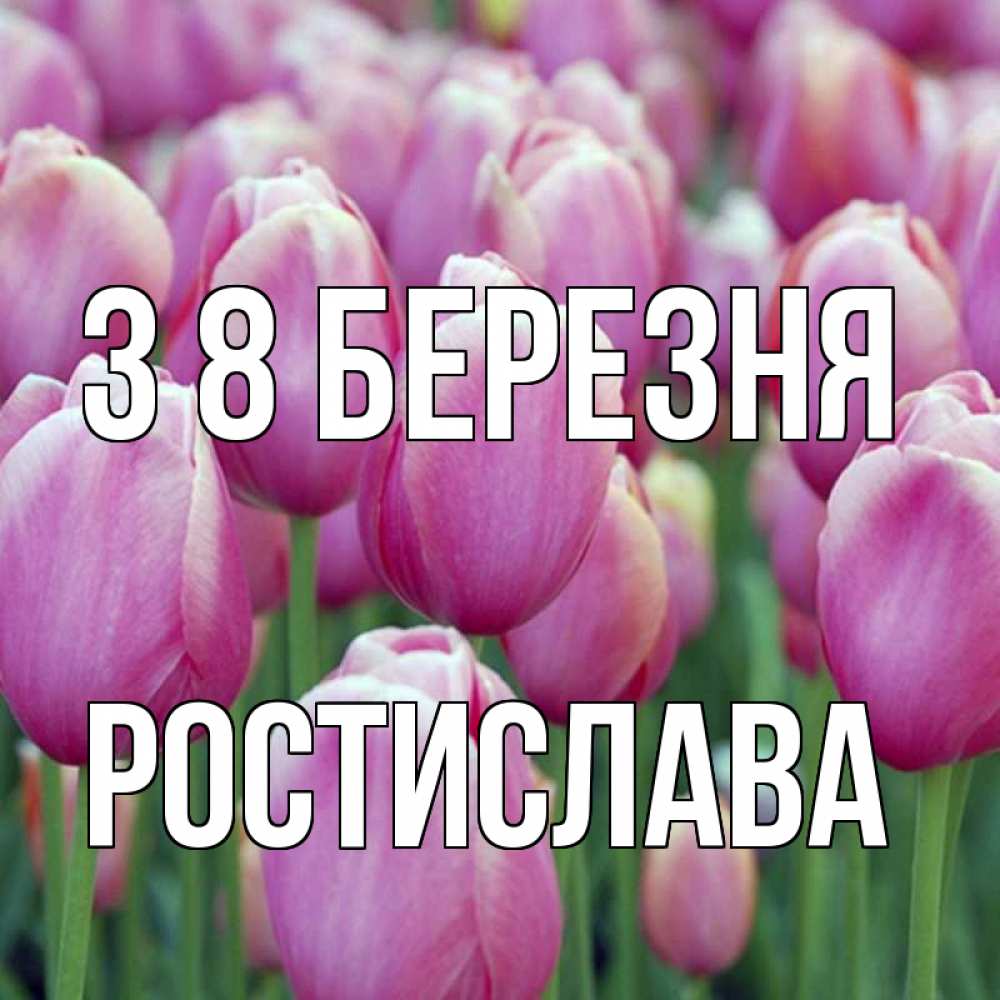 Открытка на каждый день з підписом, Ростислава З 8 БЕРЕЗНЯ на международный женский день 3 Прикольна листівка з побажанням онлайн скачати безкоштовно 