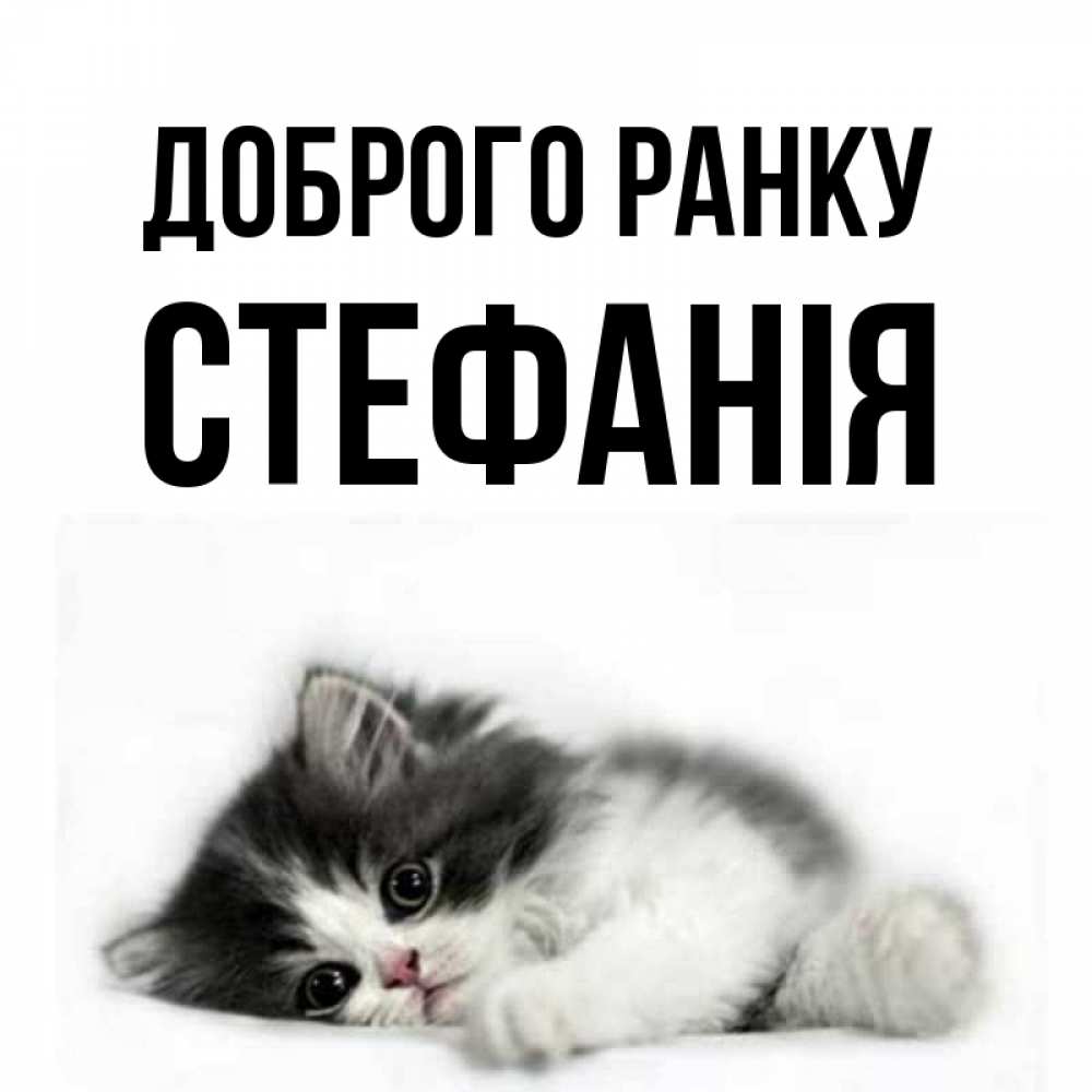 Открытка на каждый день з підписом, Стефанія Доброго ранку кот лапки Прикольна листівка з побажанням онлайн скачати безкоштовно 