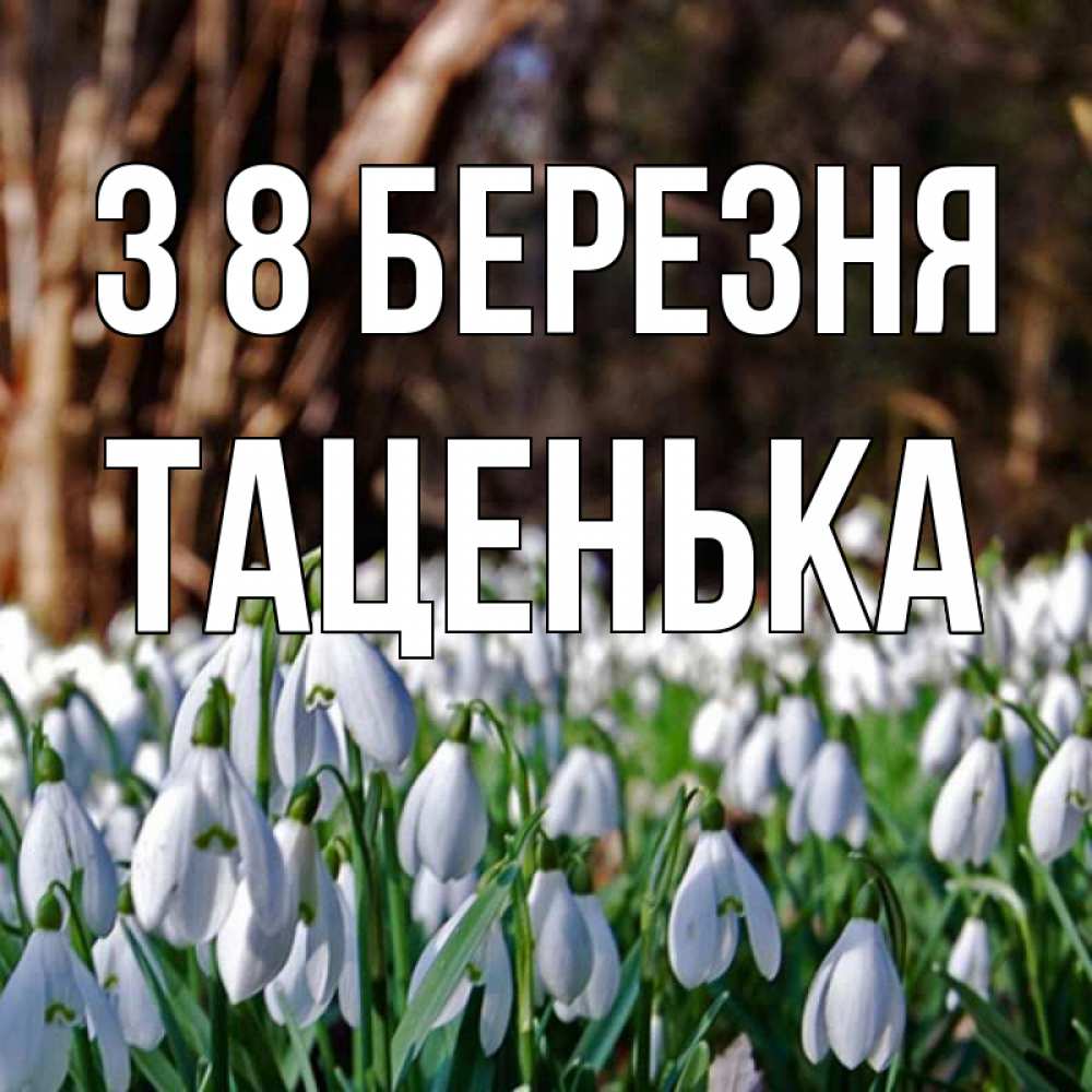 Открытка на каждый день з підписом, Таценька З 8 БЕРЕЗНЯ с подснежниками 1 Прикольна листівка з побажанням онлайн скачати безкоштовно 
