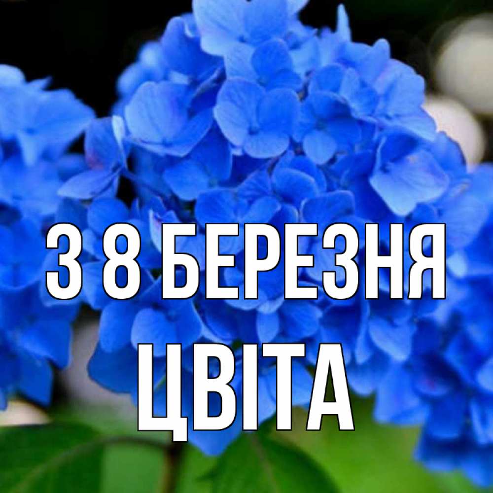Открытка на каждый день з підписом, Цвіта З 8 БЕРЕЗНЯ синие цветы Прикольна листівка з побажанням онлайн скачати безкоштовно 