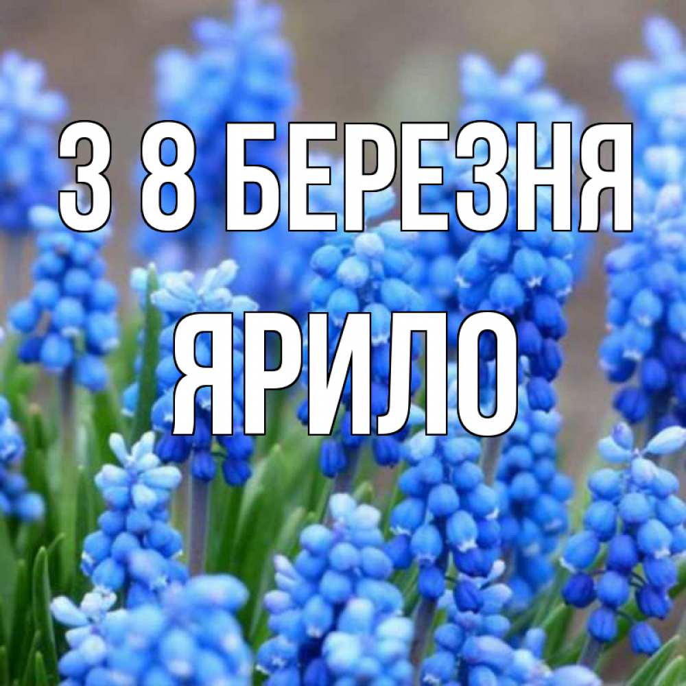 Открытка на каждый день з підписом, Ярило З 8 БЕРЕЗНЯ Поздравительная открытка для женщин с цветами на праздничную дату Прикольна листівка з побажанням онлайн скачати безкоштовно 