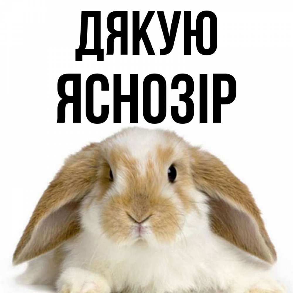 Открытка на каждый день з підписом, Яснозір Дякую коричнево белый заяц Прикольна листівка з побажанням онлайн скачати безкоштовно 