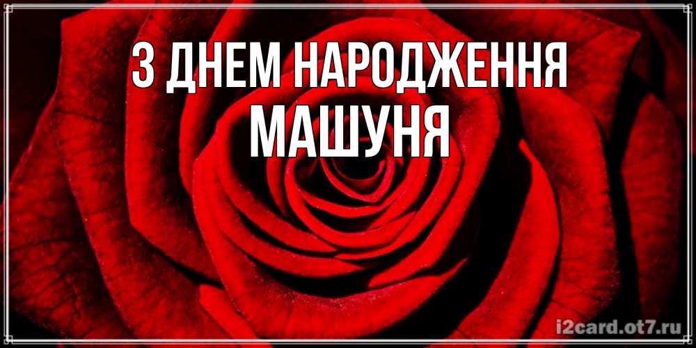 Открытка на каждый день з підписом, Машуня З Днем народження алая роза Прикольна листівка з побажанням онлайн скачати безкоштовно 