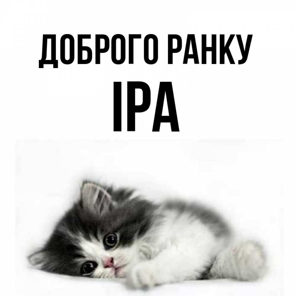 Открытка на каждый день з підписом, Іра Доброго ранку кот лапки Прикольна листівка з побажанням онлайн скачати безкоштовно 