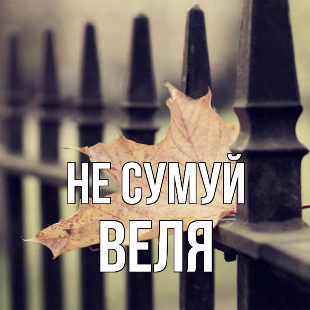 Открытка на каждый день з підписом, Веля Не сумуй лист клена Прикольна листівка з побажанням онлайн скачати безкоштовно 
