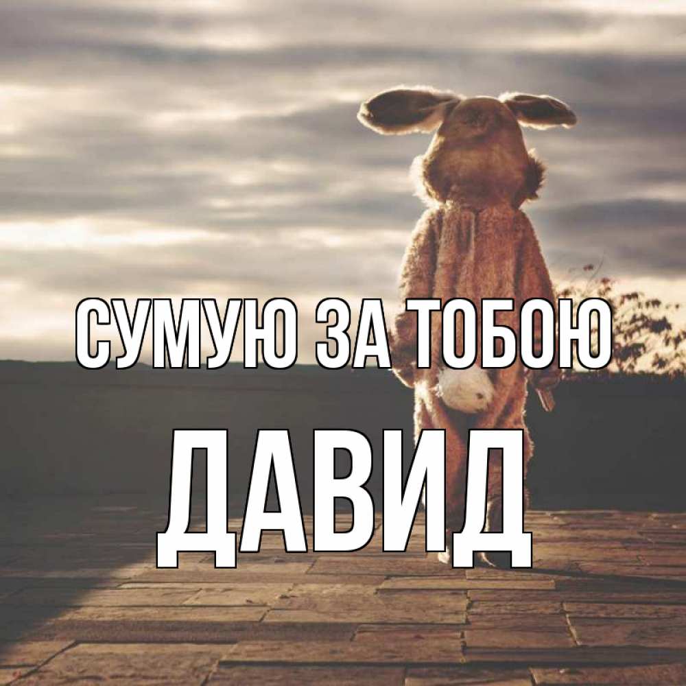 Открытка на каждый день з підписом, Давид Сумую за тобою даже в костюме зайца Прикольна листівка з побажанням онлайн скачати безкоштовно 