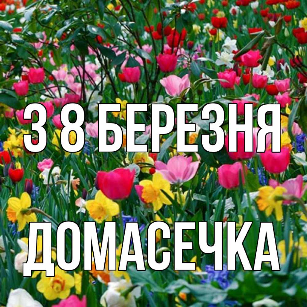 Открытка на каждый день з підписом, Домасечка З 8 БЕРЕЗНЯ с международным женским днем поздравления для женщины Прикольна листівка з побажанням онлайн скачати безкоштовно 