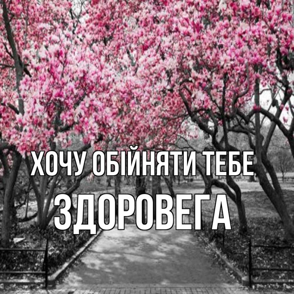 Открытка на каждый день з підписом, Здоровега Хочу обійняти тебе обработанное фото Прикольна листівка з побажанням онлайн скачати безкоштовно 