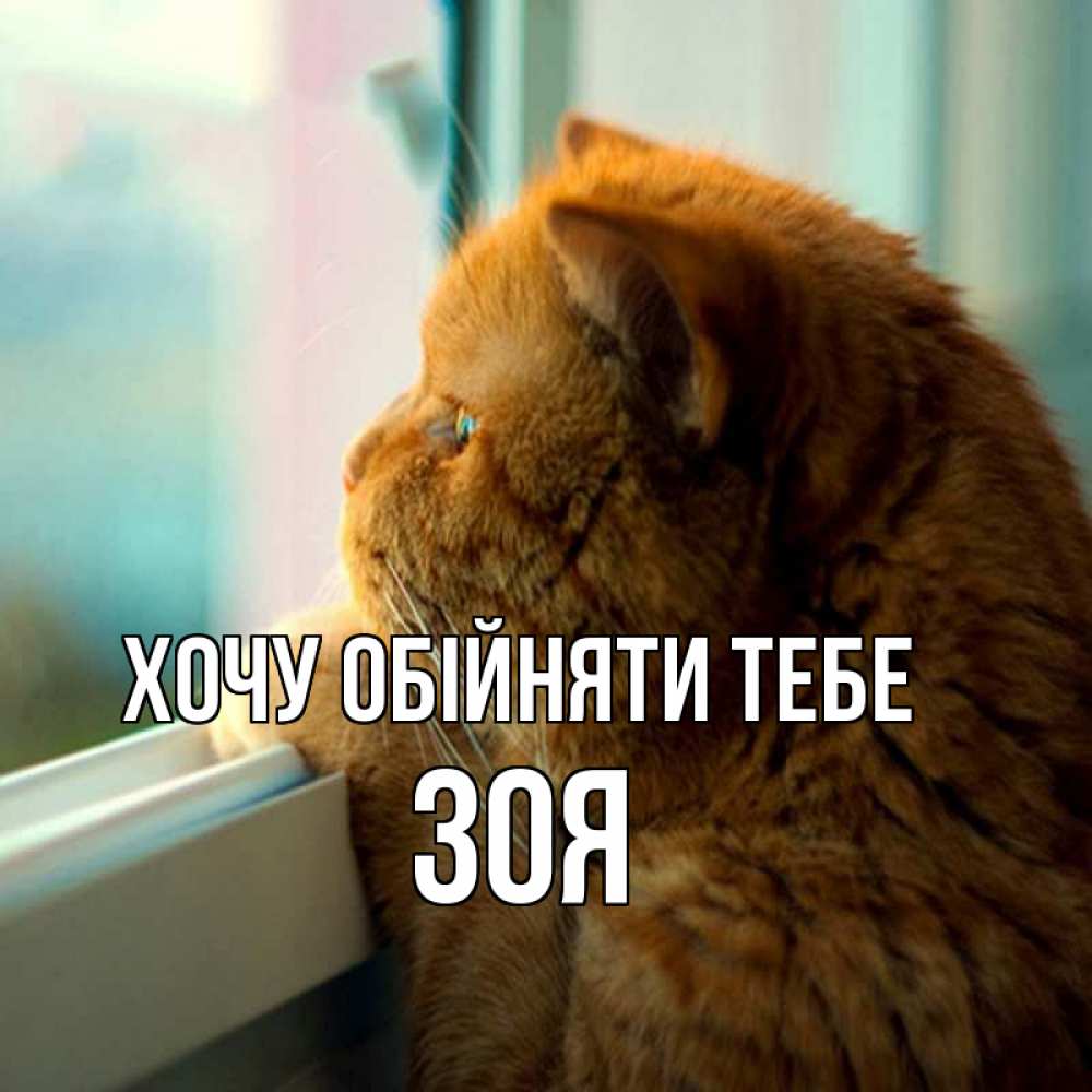 Открытка на каждый день з підписом, Зоя Хочу обійняти тебе большой огромный рыжий котяра Прикольна листівка з побажанням онлайн скачати безкоштовно 