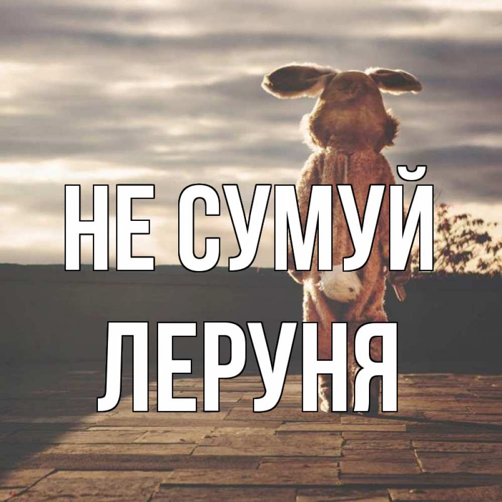 Открытка на каждый день з підписом, Леруня Не сумуй со спины Прикольна листівка з побажанням онлайн скачати безкоштовно 