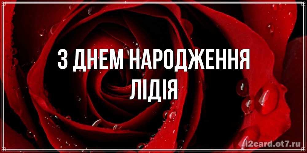 Открытка на каждый день з підписом, Лідія З Днем народження крупная бордовая роза Прикольна листівка з побажанням онлайн скачати безкоштовно 