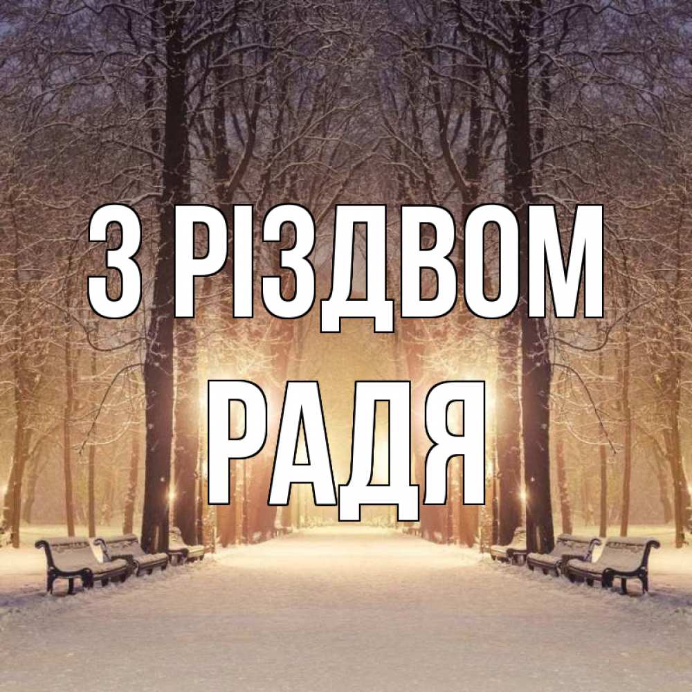 Открытка на каждый день з підписом, Радя З Різдвом зима, парк, фонарь, лес Прикольна листівка з побажанням онлайн скачати безкоштовно 